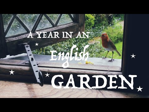 An English Garden. Nature through the Seasons. Birdsong/ Nature/ Ambience