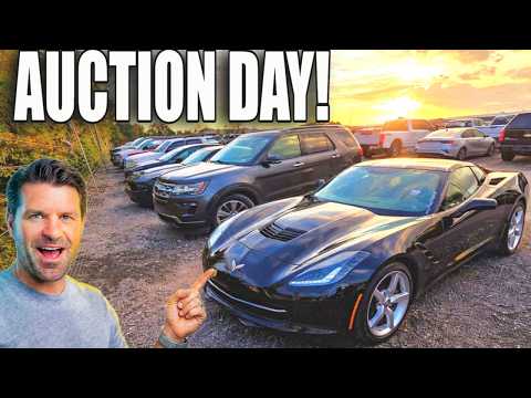 How CHEAP can you BUY CARS AT AUCTION?