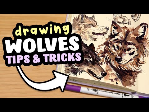 WOLF Sketchbook Session! (+ tips and tricks)