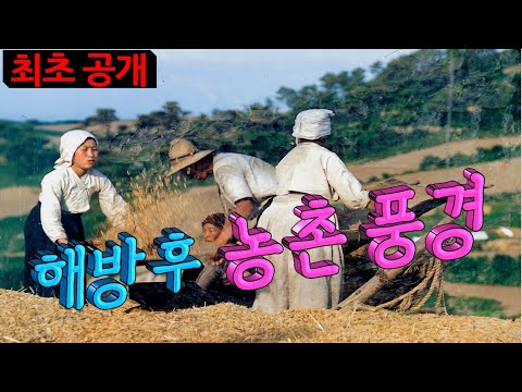 1945년 해방후 농촌 풍경(A country scene after liberation in 1945)