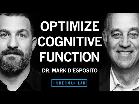How to Optimize Cognitive Function & Brain Health | Dr. Mark D'Esposito