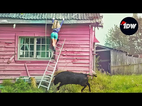 TOTAL IDIOTS AT WORK #204 | Bad day at work | Fails of the week | Instant regret compilation 2024