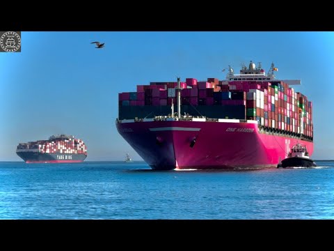 LOS ANGELES CALIFORNIA MARITIME TRAFFIC - SHIPSPOTTING November 2025