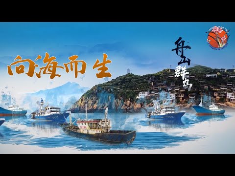 揭秘世界上最危險的職業之一：捕魚人！向海而生，靠海吃海！ Born towards the sea #舟山群島 #漁民