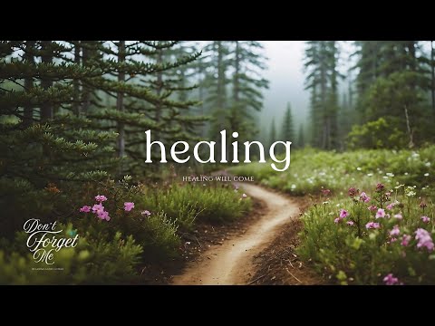 Healing Will Come🌲🌸vGentle Guitar Music & Ambient Vibes for Sleep, Study , Meditation, Stress Relief