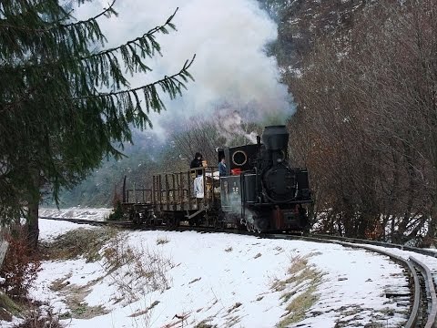 Wassertalbahn Februar 2013 - Mocanita Viseu de Sus - Rumänien