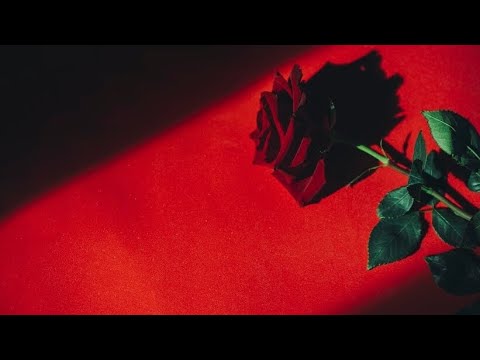 Michael Jackson - "Put It On The Line" (I.A) (legendado/letra) em português by Stefany_mj_loves