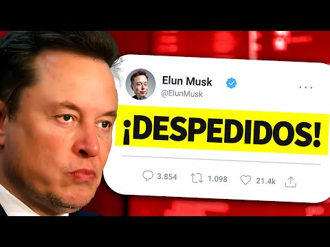 El 97% de los Programadores Juniors SON INÚTILES