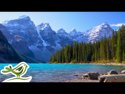 Relaxing music by Peder B. Helland for lazy mornings ☀️