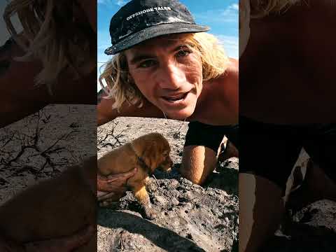 Giant Mud Crab Catch n Cook With My New Puppy