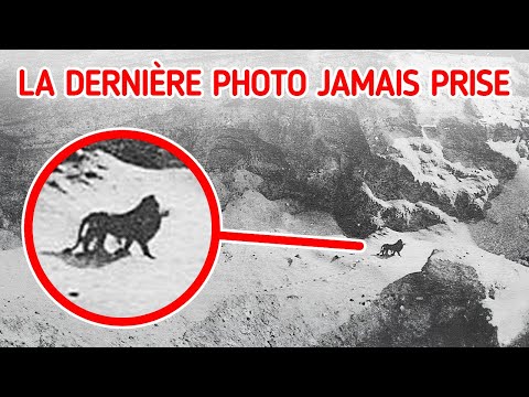 Nos Dernières Rencontres Avec Des Espèces Éteintes