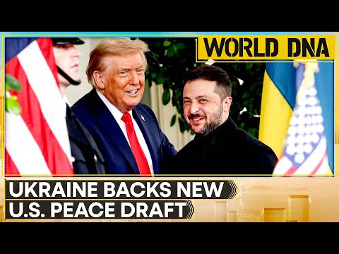 Russia-Ukraine War: Zelensky Tells Allies 'Ready To Move Forward' With US Plan | World DNA