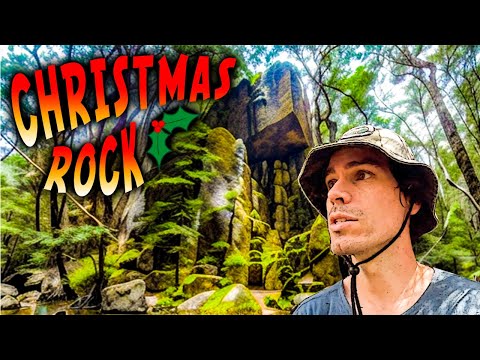 Remote Expedition in Tasmania Leads to a Huge Discovery!!