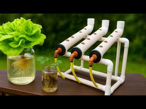 💧 How to Prepare the Water for Your Hydroponic System