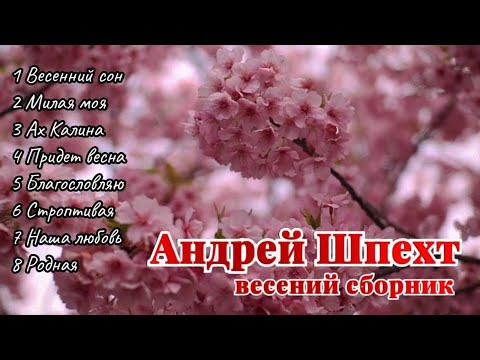 Весенний сборник 🌷🌷🌷 Лучшие песни для души