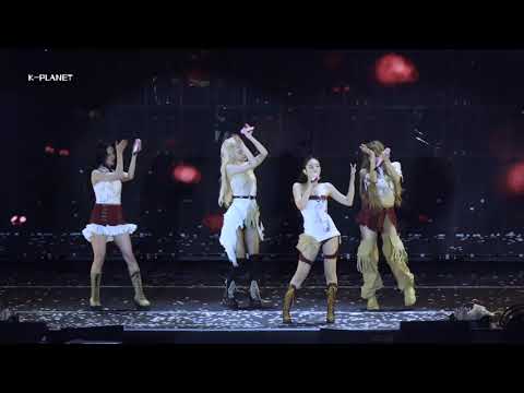 BLACKPINK CONCERT 'Pretty Savage + Don't Know What To Do' 4K Fancam 직캠 | 블랙핑크 콘서트 'DEADLINE' 250705
