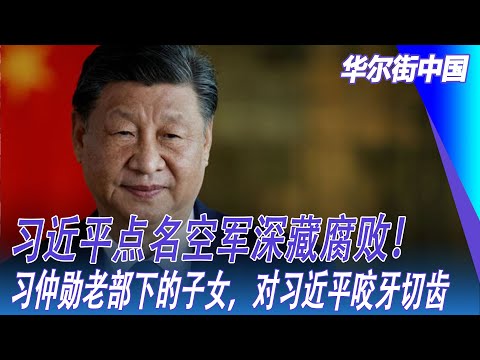习近平点名空军深藏腐败！习仲勋老部下的子女，对习近平咬牙切齿｜华尔街中国