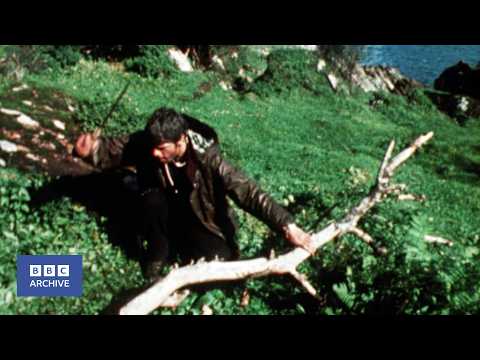 1975: Surviving For Two Weeks on the Garvellachs | Nationwide | Weird and Wonderful | BBC Archive