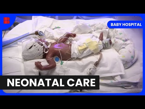 NICU Nurses: Everyday Heroes
 - Baby Hospital - Medical Documentary