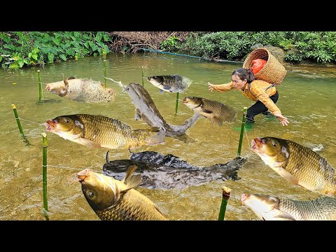 Traditional fishing techniques - Single mother catches big fish with many skills: Nguyen Thi Luyen