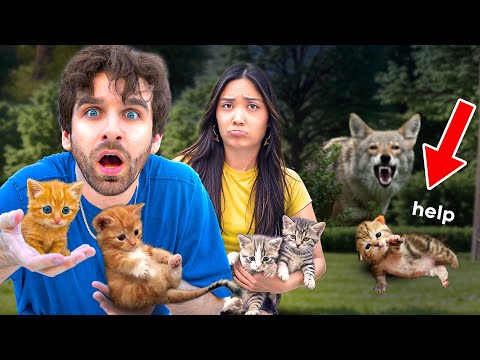 I TRIED to RESCUE 5 Abandoned Kittens From a COYOTE ATTACK... (sad)