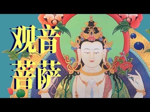 在普陀山⛰️聊聊观音菩萨：为何拜祂是中华显学👏？【大玄学】｜X博士