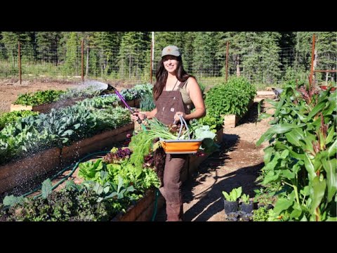 July Garden Tour | Installing a New Well Pump at the Cabin