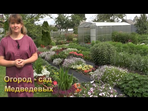 Промежуточный результат: обзор цветов на 9 июля