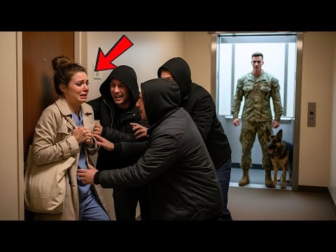 Stalkers Harassed Her in an Apartment Hallway — Then a Navy SEAL and His Dog Walked Out