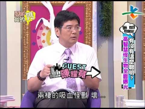 比你還高智慧！高智商生物全曝光！｜愛喲我的媽-怪奇探索【完整版】 5-62 /20120829