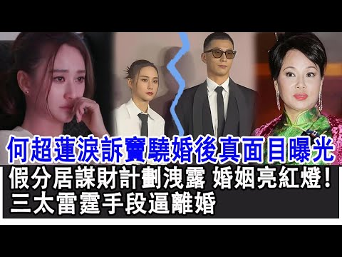 【粵語】何超蓮淚訴竇驍婚後真面目曝光，假分居謀財計劃洩露，婚姻亮紅燈！三太雷霆手段逼離婚#何超蓮#竇驍#富豪#豪門#影視明星大世界