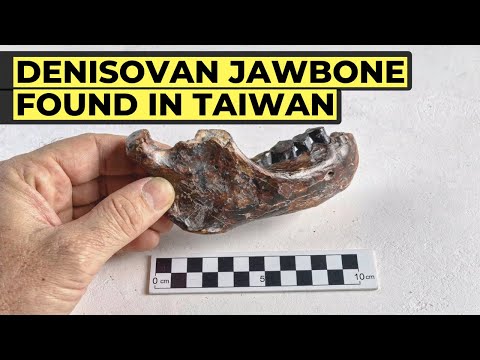 Denisovan Jawbone Found in Taiwan Changes Everything About This Ancient Human Species