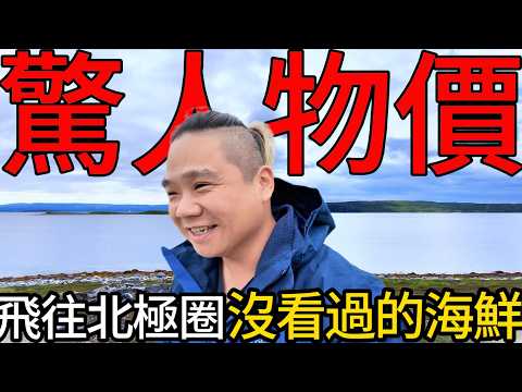 飛往北極圈尋找台灣沒有的海鮮丨崩潰直接在北極圈內野營~~丨一下飛機就被當地的物價嚇傻了