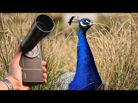 Oppo Find X9 Ultra Hasselblad Photography Kit: Unboxing and Wildlife Test