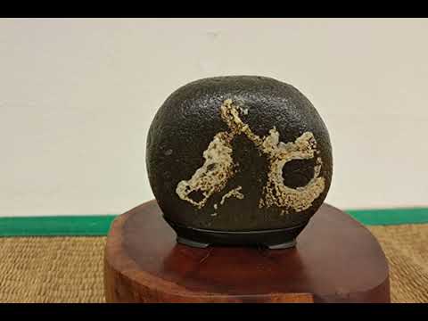 제40회인천수석인연합회 전시석