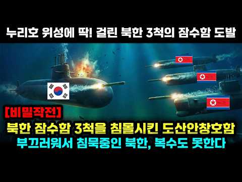 누리호 위성에 딱걸린 북한의 잠수함3척의 도발에 맞선 도산안창호함의 활약!