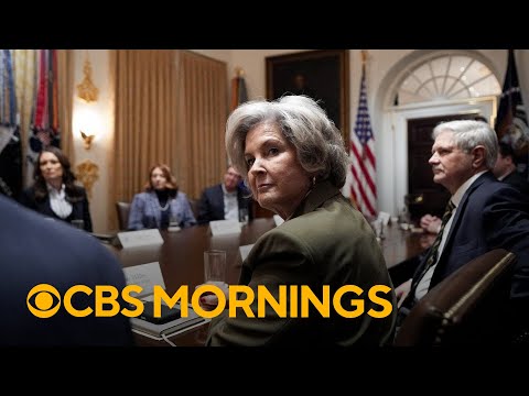 What to know about chief of staff Susie Wiles' blunt assessment of top officials