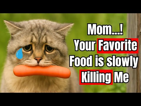 15 Super Veggies That Make Your Cat Healthier (And 3 That Secretly Kill Them)