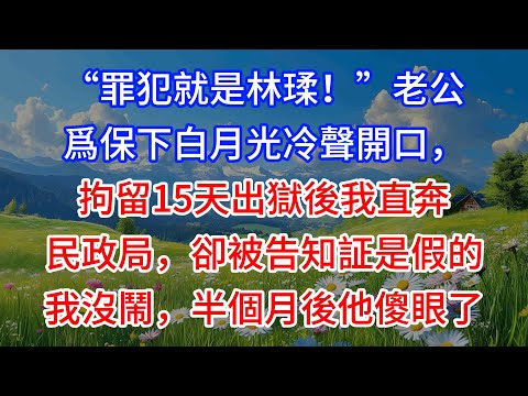 【完結】“罪犯就是林瑈！”老公爲保下白月光冷聲開口，拘留15天出獄後我直奔民政局，卻被告知証是假的，我沒鬧，半個月後他傻眼了