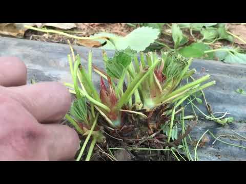 Завершение сезона 2024 года