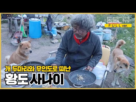 [풀버전] 물도 없고 전기도 없는 무인도에 맨몸으로 들어와 살고 있는 남자?! 사업 실패 후 강아지들과 함께 무인도로 떠난 사나이 | 동물극장 단짝 EP19 | KBS 220604