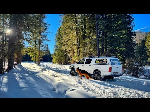 ЗИМНИЙ АЛТАЙ: Как попасть на Мультинские озера зимой