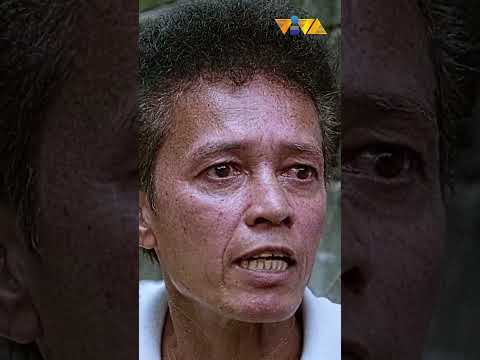 Wag kasing papagurin si Robin Padilla! #shorts #movieclips #vivafilms