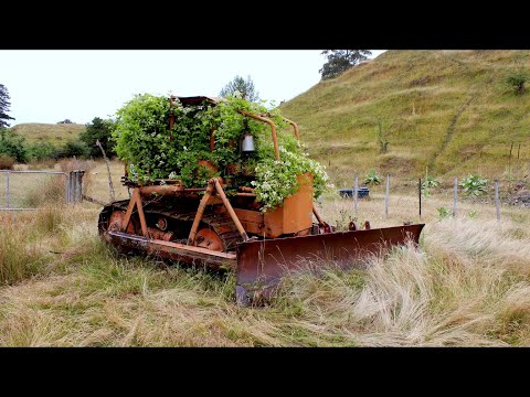 Ancient Allis Chalmers HD5 Dozer Claimed by Nature – Will It Run Again?
