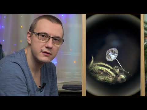 Choosing a Microscope Camera Part 1