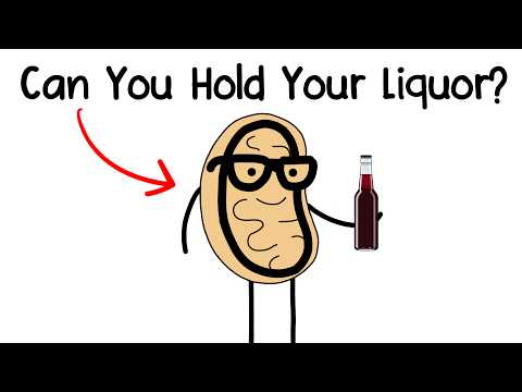 Every Hidden Advantage of Your Alcohol Consumption Explained