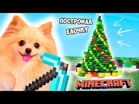 ПОСТРОИЛА СВОЮ ЕЛОЧКУ В МАЙНКРАФТ ! MINECRAFT