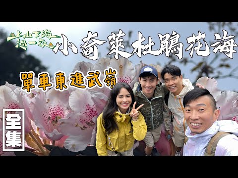 【上山下海過一夜】四小福再次公路挑戰！單車東進武嶺！全台最美的10公里單車路線之一！最後探訪小奇萊的杜鵑花海！20220511#78｜艾美、楊盛堯MAX、熱血阿傑、蕭志瑋八弟｜叮寧派卡瑞丁長效防蚊液