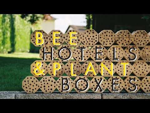 Planter Boxes and Bee-Hotels - BUILD FROM SKETCH