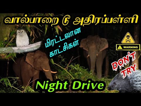 அதி பயங்கர valparai to athirapally இரவு பயணம்|மிரட்டலான காட்சிகள்|dangerous night drive|kerala